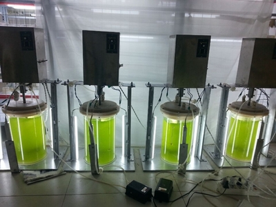 武漢軒明宇環(huán)保科技 創(chuàng)新驅(qū)動(dòng)，鑄就綠色未來——環(huán)保設(shè)備及裝置的研發(fā)之路